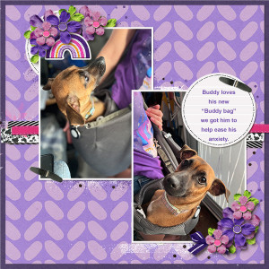 Buddy Bag
