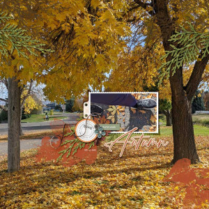 AUTUMN-WALK