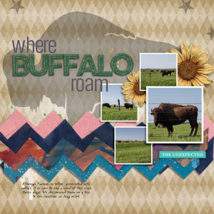 Buffalo