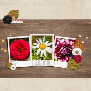 Flowers Of Fall