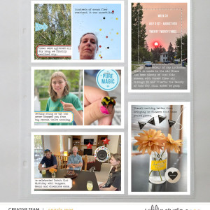 PL2023 - Week 31 | Sahlin Studio