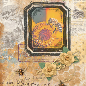Bees