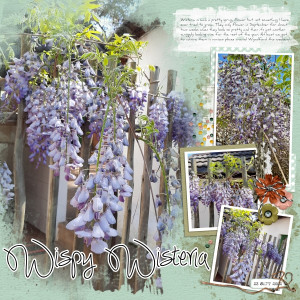 2022-09-23_WispyWisteria