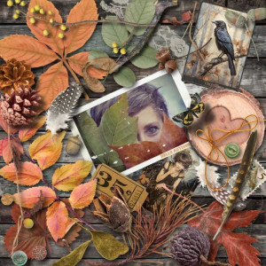 Hello Autumn!