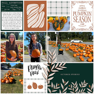 Pumpkin Picking