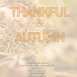 23-11_soco_thankfulforthis_02