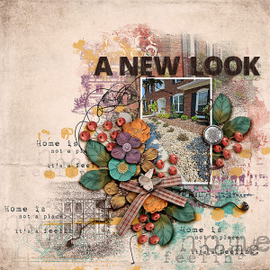 SOSN_nov1_AWA_A New Look