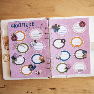 Nov Gratitude Journal (hybrid)