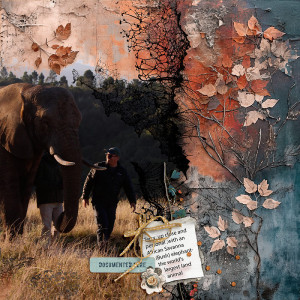 2023-Africa-Terry-and-elephant
