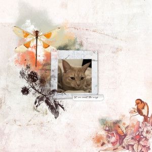 Scraplift - October