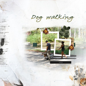 Dog Walking