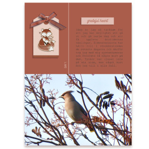 30 days of thanks - Day 1