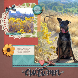Autumn-22