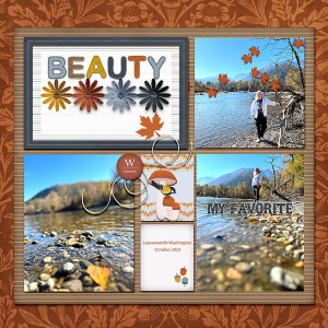 Beauty-copy