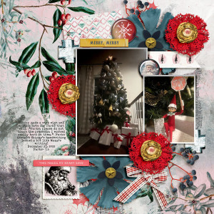 10 Nov.- DYD- Merry Merry