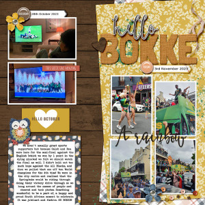 Bokke