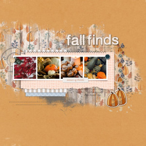 Fall finds