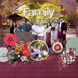 Circle-of-family