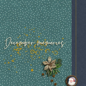 23-11_Soco_DM2023_cover