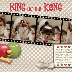 King-of-the-Kong