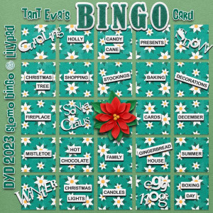 Bingo DYD 2023