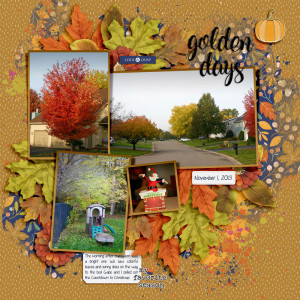 20131101 Golden Days
