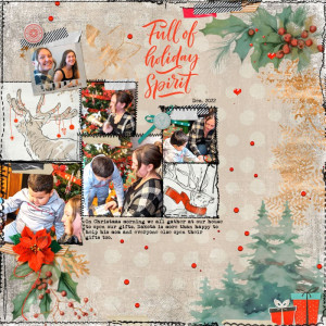 Full-of-holiday-spirit