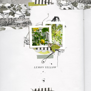 Lemon Yellow