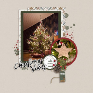 Christmas Vibes