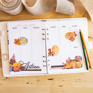 November Week 2 Planner (hybrid)