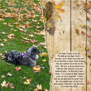 2023-11-TLP-Journaling-Challenge