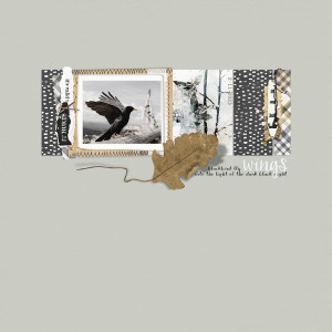 Wings | Blackbird fly