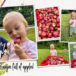 A wagon full of apples!