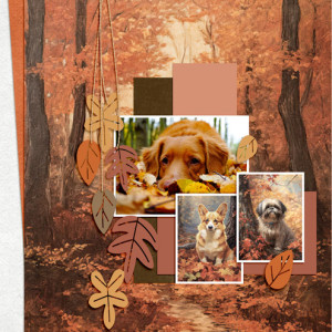 Autumn-Dogs