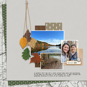 Fall Afternoon Walk