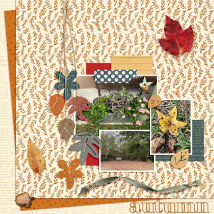 Nov-Template-Challenge-web