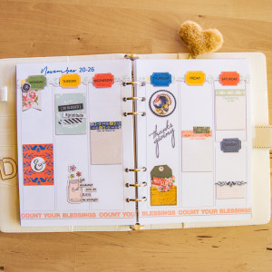 November Week 3 Planner (hybrid)