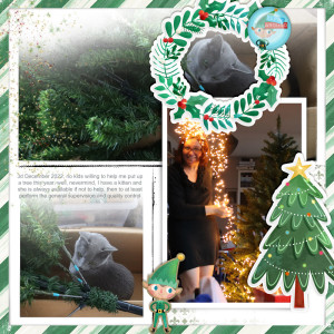 221203_tree