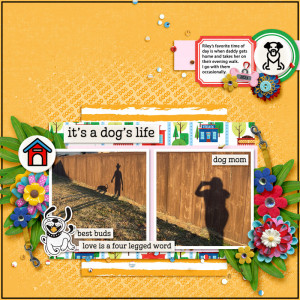 FDD_ManySplendoredDU_2023web
