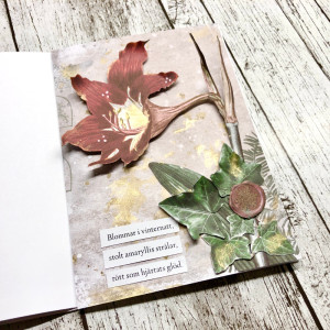 Amaryllis - hybrid