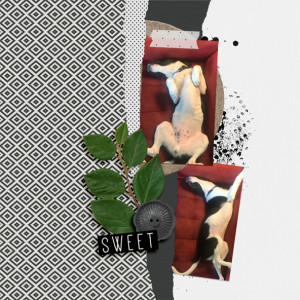 11-SWL