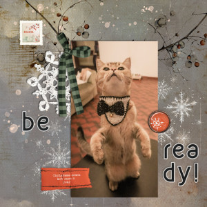 231124_Pip Ready