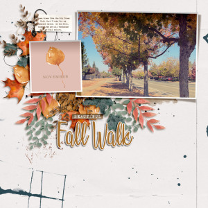 Beautiful Fall Walk