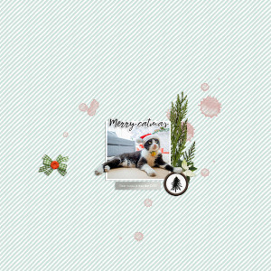 merry catmas