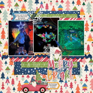 SOSN Dec. 6- Merry and Bright