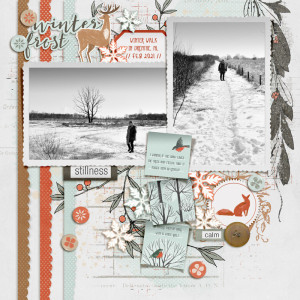 Winter Frost
