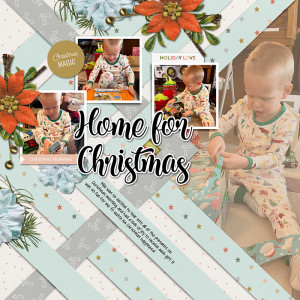 120123_dbs_home-for-christmas_scc_800