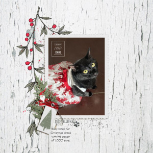 BYOCchall_Dec2023