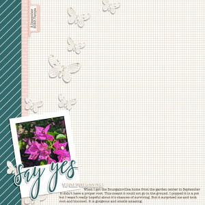 Dec23_Dunia_Refresh - Say Yes