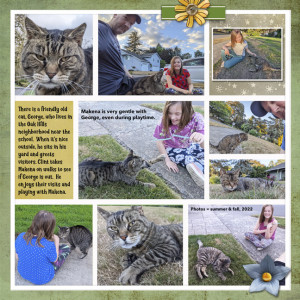 George Cat Safari 2022